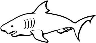 Australian Sharks Coloring Page Super Coloring Shark Coloring Pages Coloring Pages Shark