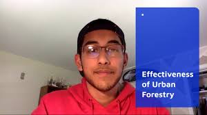 Profile Page for Rebecca Dalise