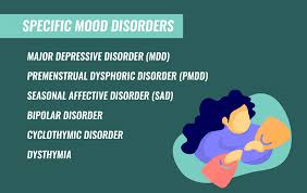 Image result for Mood Disorder