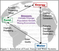 Nsf international uk services include food safety and quality audits, certification, assurance and standards plus health and safety and fire safety. Nsf Workshop To Identify Interdisciplinary Data Science Approaches And Challenges To Enhance Understanding Of Interactions Of Food Systems With Energy And Water Systems Crn