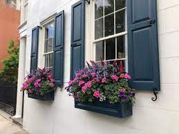 Apr 17, 2020 · consider revamping your window boxes. 24 Window Box Flower Ideas What Flowers To Plant In Window Boxes Apartment Therapy