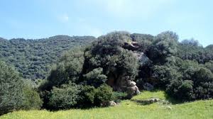 ➤ controlla ora la tua città con le immagini delle webcam in. Ballao Segretariato Regionale Del Ministero Per I Beni E Le Attivita Culturali E Per Il Turismo Per La Sardegna