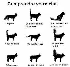 Maybe you would like to learn more about one of these? Clinique Veterinaire Wilson A Dijon Adresse