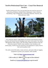 Tree removals in forestville, new south wales. Ppt Cotati Tree Removal Powerpoint Presentation Free Download Id 7449432