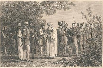 The Mutiny Papers