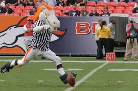 Ищете denver broncos mascot стикеры? Denver Broncos Mascot Photo Andy Lopusnak Photography Photos At Pbase Com