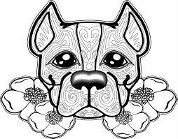 Search through 623,989 free printable colorings at getcolorings. Pitbull Coloring Pages Best Coloring Pages For Kids