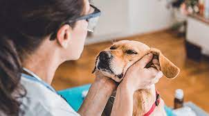 Maybe you would like to learn more about one of these? Services Waukesha Walk In Clinic