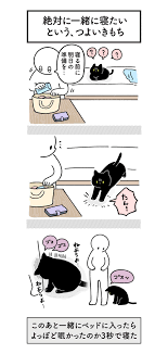 akr on twitter 2021 猫 イラスト かわいい 犬 猫 漫画 動物 漫画