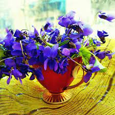 The song or music is available for downloading in mp3 and any other format, both to the phone and to the computer. Ljubicice Plants