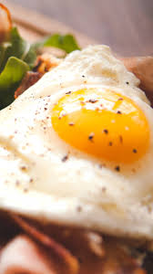 Click the link below to download Eggs For Weight Loss The Right Time To Eat Eggs To Lose Weight Times Of India
