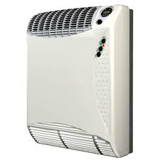 Williams 17 700 Btu Hr Direct Vent High Efficiency Natural Gas Wall Furnace Heater 1773512 The Home Depot Wall Furnace Furnace Heater Gas Wall Heaters