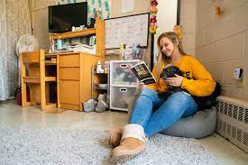 Dog Friendly Residence Hall Student Life