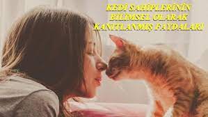 kedi sahibi olan insanlarin ortak ozellikleri fark edildiginde bunun tesaduf olmayacagi dusunulmus ve bu konu ile ilgili pek cok bilimsel arastirma yapilmi kedi