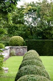 Love The Ball Boxwoods Garten Cottage Garten Garten Ideen