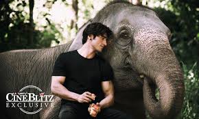 Junglee Box Office Collection Prediction Vidyut Jammwal S Movie Will Earn Rs 3 Crore On Day 1 Cineblitz Watch junglee (2019) hindi from player 1 below. cineblitz
