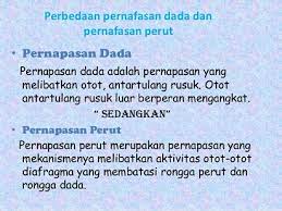 Pengertian inspirasi dan ekspirasi dalam pernapasan manusia. Perbedaan Pernapasan Dada Dan Perut Dalam Badan Kita