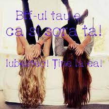 Norsk hvit sau, som er en tung rase utgjør ca. Propoziti Cu Vom V Om Vor V Or Brainly Ro