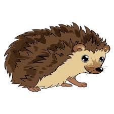 How To Draw A Hedgehog Really Easy Drawing Tutorial Hedgehog Drawing Drawing Tutorial Easy Drawings