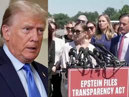 Liz Cheney/Adam Kinzinger Against Trump