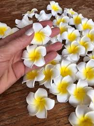 Luau Hawaiian Flowers Fake Plumeria Lot Of 50 Artificial Foam Small Frangipani Flower Heads 1 5 Decoraciones De Fiesta Tropical Fiesta Hawaina Fiesta Tropical