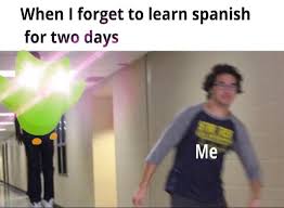Duolingo bird is coming.meme (i.redd.it). Evil Duolingo Owl Know Your Meme