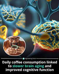 The Surprising Link Between Morning Coffee and Brain Health: How Your ...