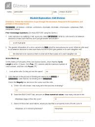Plant cells get the gizmo ready: Copy Of Copy Of Celldivisionse Mitosis Chromosome