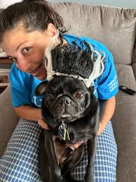 Daryl or Don King? 😂