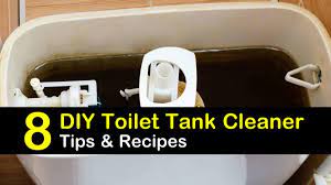 Allow the cleaner to sit for several minutes. 8 Simple Diy Ways To Clean A Toilet Tank