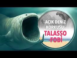 acik deniz korkusu talassofobi thalassophobia saglik fobi youtube felsefe psikoloji youtube