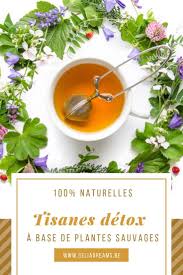 Preparez Vous Memes De Declicieuses Tisanes A Base De Plantes De Votre Jardin Bonnes Pour La Sante Et 100 Naturelles Elles Sont Fa Tisane Detox Tisane Detox