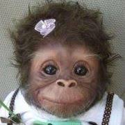 Sandi Page (sandilee63)