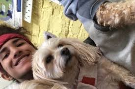 Fundraiser for Anna Torres-Radle by Cyndi Galey Krebs : Elijah Powell's  Medical Fund