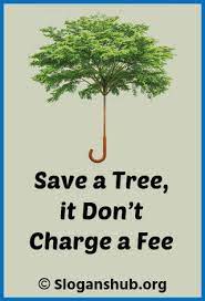 We have to act now to save the precious. 199 Best Save Tree Slogans And Taglines With Posters