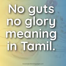 No Guts No Glory Meaning In Tamil