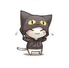 Cat Hoodie Kawaii Cat Kawaii Animals Kawaii Anime