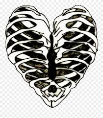 Get this icon in svg format. Edits Ribs Ribcage Heart Bones Art Stickers Rib Cage Transparent Png Clipart 996057 Pinclipart
