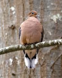 Marc Forman (@mfdsfb) • Instagram photos and videos