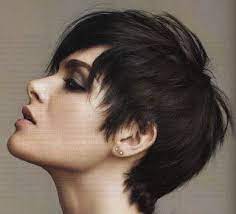 Maybe you would like to learn more about one of these? Thankfulness Or Just Looking On The Bright Side September 2012 Short Hair Styles Thick Hair Styles Pixie Haircut For Thick Hair
