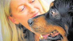 Von der Gebärmaschine zum freundlichen Familienhund