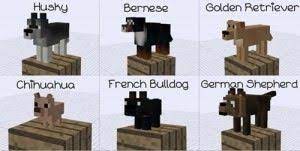 It completely reworks the wolves in minecraft, turning them into lovable pet dogs which can be customized and upgraded with talents. Pin By Nicole Durham On Minecraft Minecraft Dogs Minecraft Minecraft Pictures