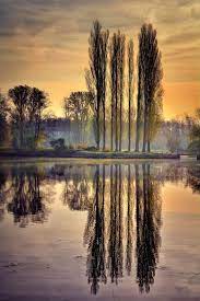 Reflection By Miros Trees Sunrise Morning Water Refle Water Reflection Photography Nature Water Reflection Photography Reflection Photography Nature