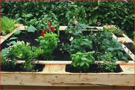 Garten Design 29 Einzigartig Hochbeet Selber Bauen Anleitung Pdf O50p