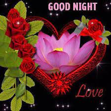 Aug 17, 2021 · 13. Rose Good Night Love Quote Pictures Photos And Images For Facebook Tumblr Pinterest And Twitter In 2021 Good Night Love Images Good Night Wishes Good Night Image