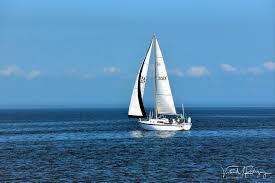 Image result for Rouge Marina 1986 UMM