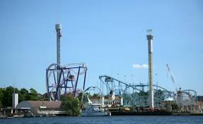 Image result for Grona setigera