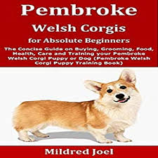 Brie is the dam of 3. Pembroke Welsh Corgis For Absolute Beginners Horbuch Download Von Mildred Joel Audible De Gelesen Von Fei Ren