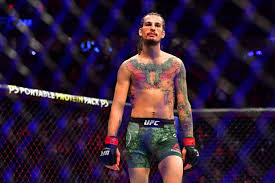 Wanting to get into journalism means you have something to say. Arizona Mma Fighter Sean O Malley Quickly Rising In Ufc