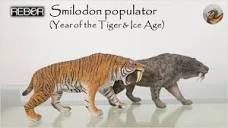 198: Rebor Smilodon Populator (Year of the Tiger & Ice Age) - YouTube
